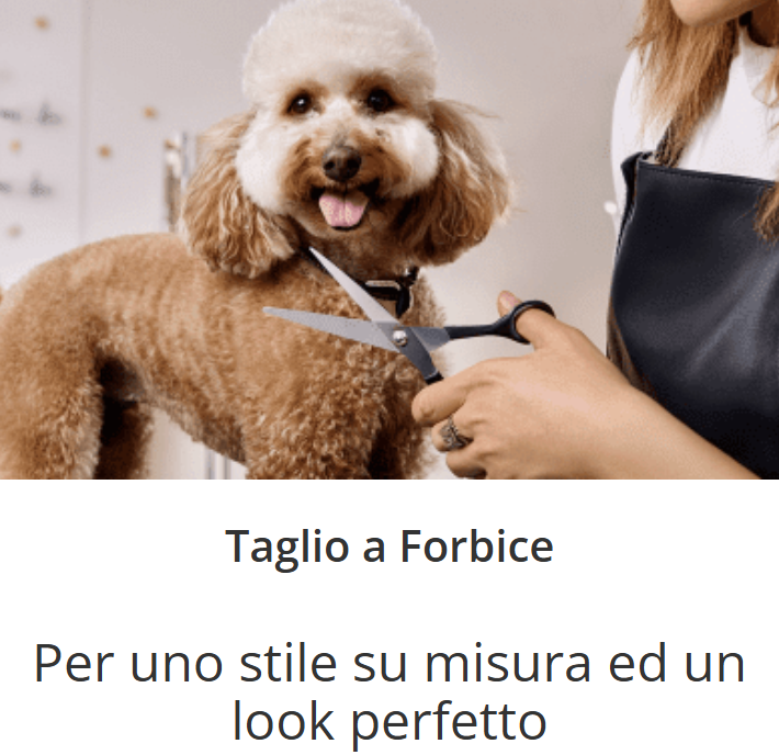 Images Ciuffo Ribelle Toelettatura per Cani