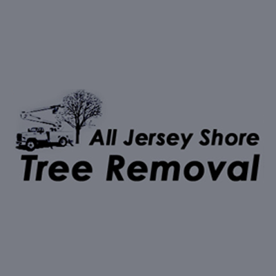 All Jersey Shore Services Logo