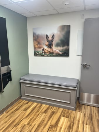 Images VCA Castle Shannon Animal Hospital
