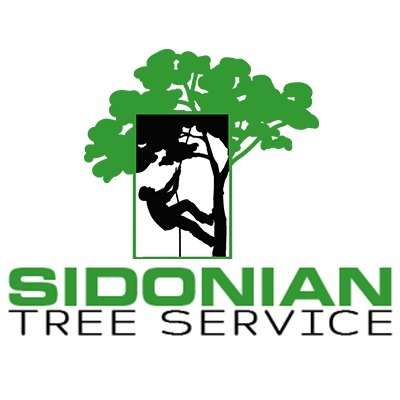 Sidonian Tree Service Logo