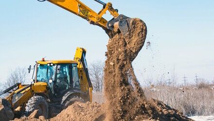 Images Il Punto Verde