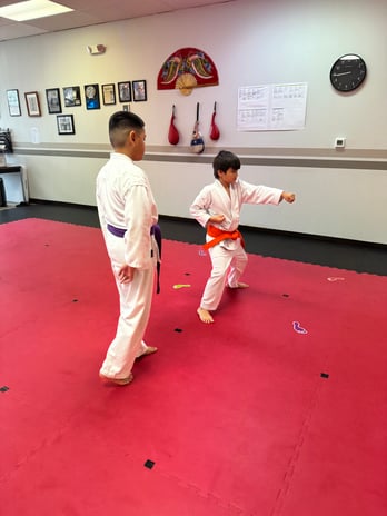 Images Jaguar Dojo