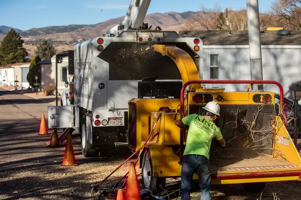 Images King Tree Service