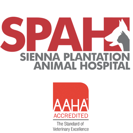 Sienna Plantation Animal Hospital Logo