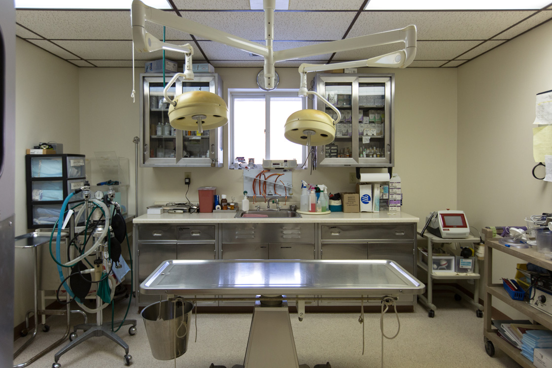 White Oak Veterinary Clinic houses a modern surgical suite equipped for a range of basic surgical pr White Oak Veterinary Clinic White Oak (412)678-4042