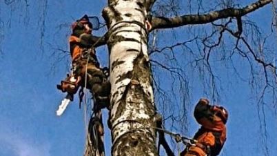 Images Metsä Matikainen Oy