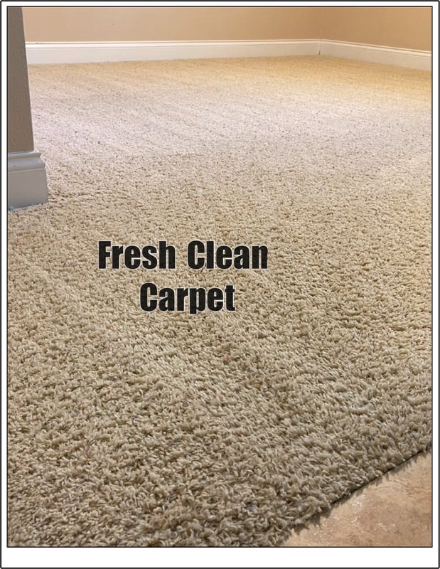 Images Top Notch Carpet And Upholstery Cleaning Inc.