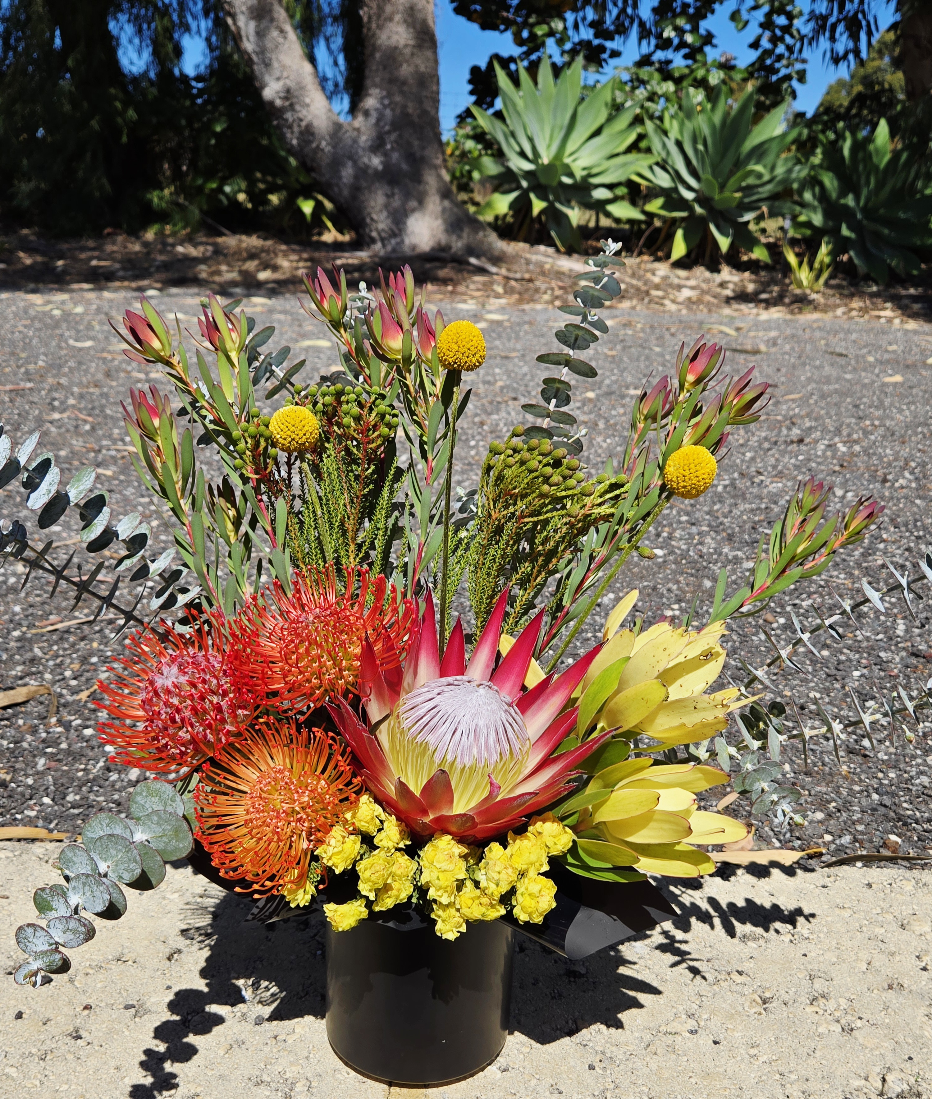 Images The Wild Bunch Florist & Living Gifts