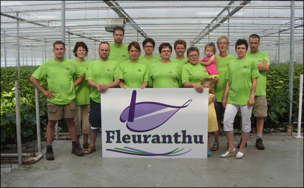 Anthurium Kwekerij Fleuranthu BV - Florist - Maasbree - 077 465 1457 Netherlands | ShowMeLocal.com
