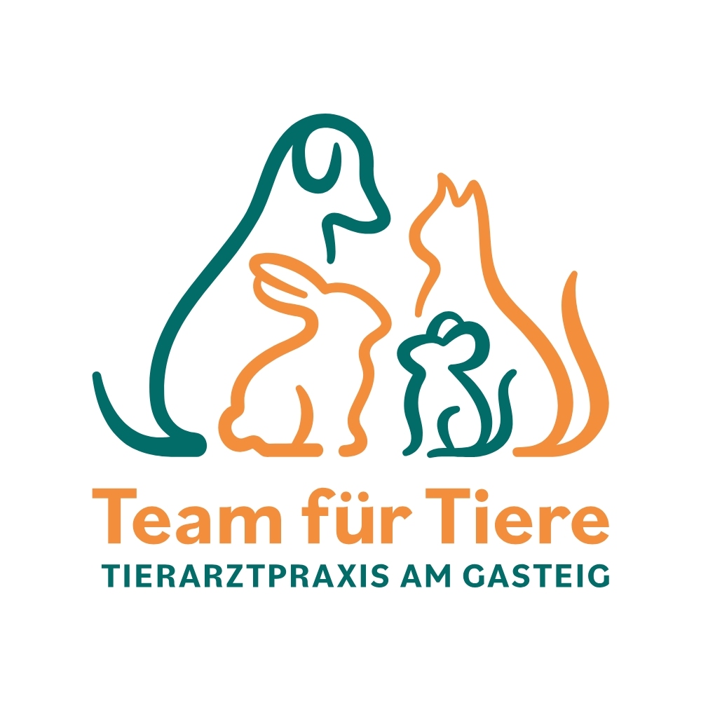 Tierarzt München, Team für Tiere – Tierarztpraxis am Gasteig  