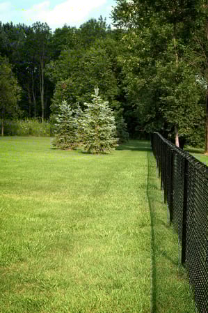 Images Lake Area Tree Removal & Services