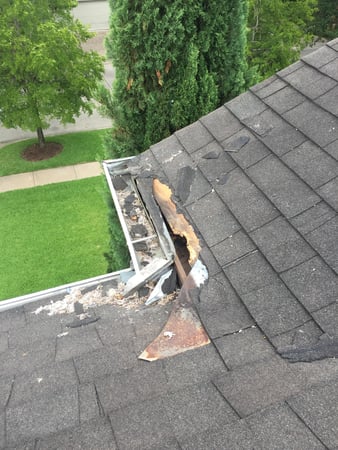 Images Omega Animal Removal Dallas