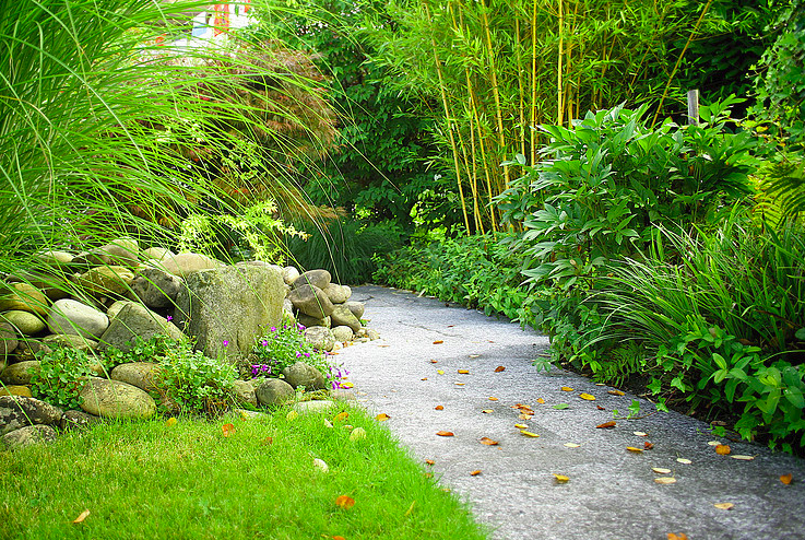 Andreas Wenk Gartenbau & Unterhalt AG, Oberdorfstrasse 57 in Riehen