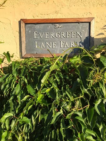 Images Evergreen Lane Farm