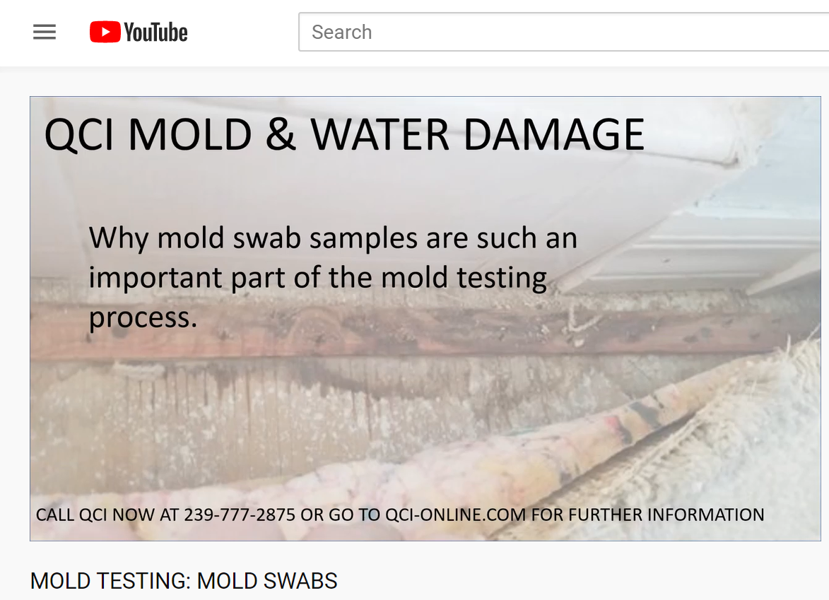 Image 4 | QCI Mold and Water Damage