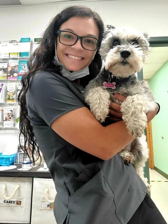 Images VCA Green Animal Hospital