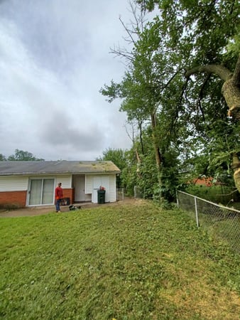Images Rojas Chops Tree Service LLC