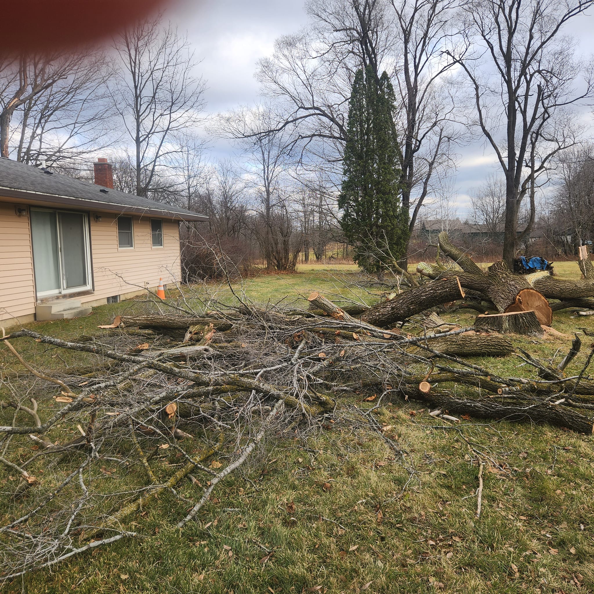 Milks Tree Service Inc Image