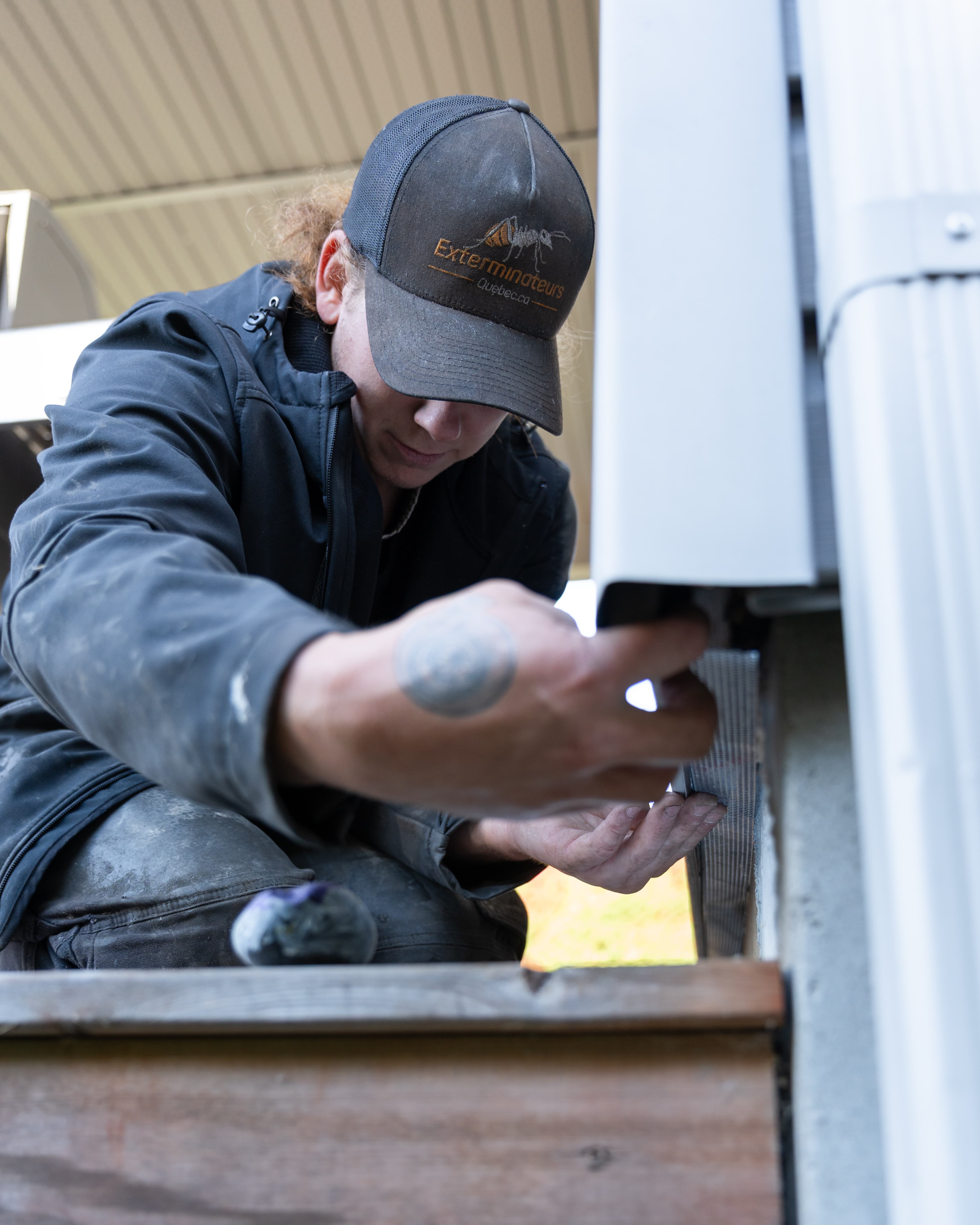 Images Exterminateurs Québec