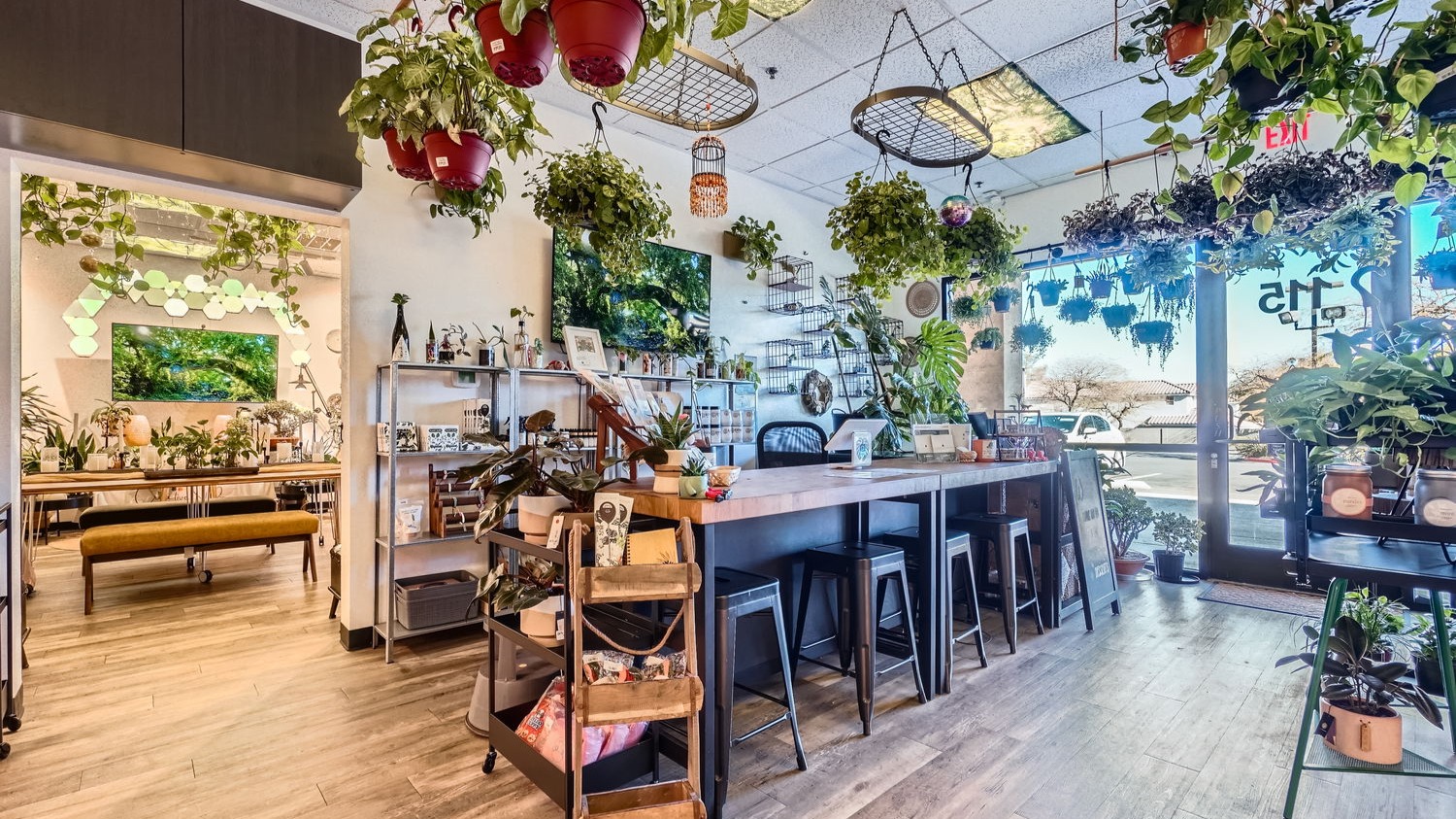 Hosting a plant workshop has never been easier! Rooting For You has a private event space where you can learn about how to take care of all of your desert plants.