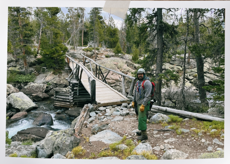 Alpine Forestry Image