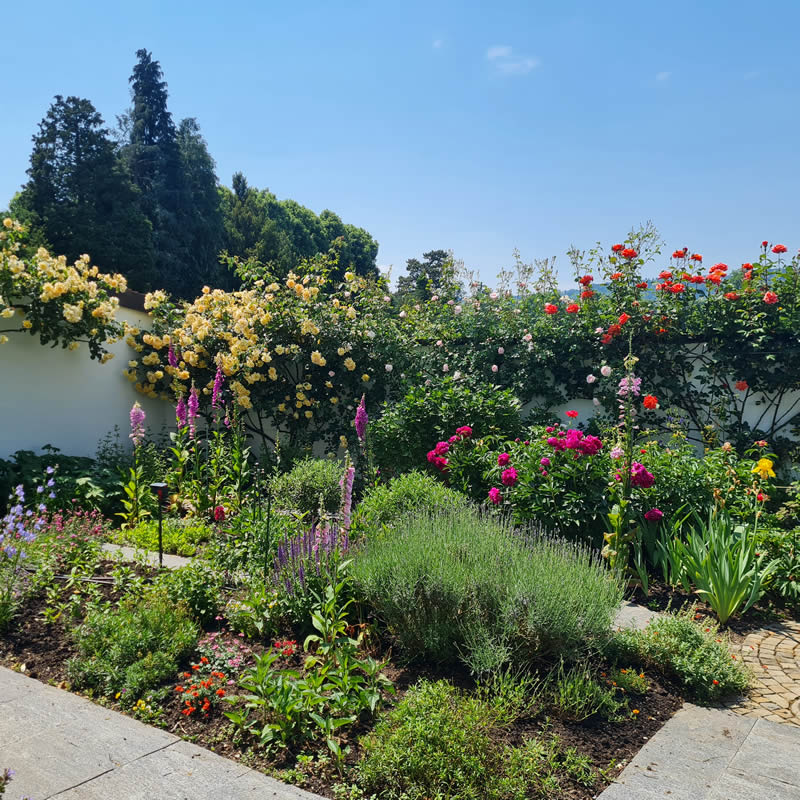 Bilder BRÜHWILER-GARTENBAU, BAUMPFLEGE