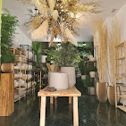 Images Bloom Marbella S.l.