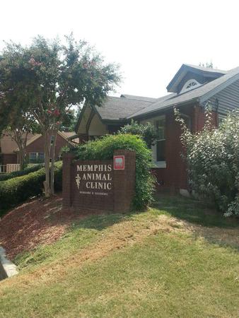 Images Memphis Animal Clinic