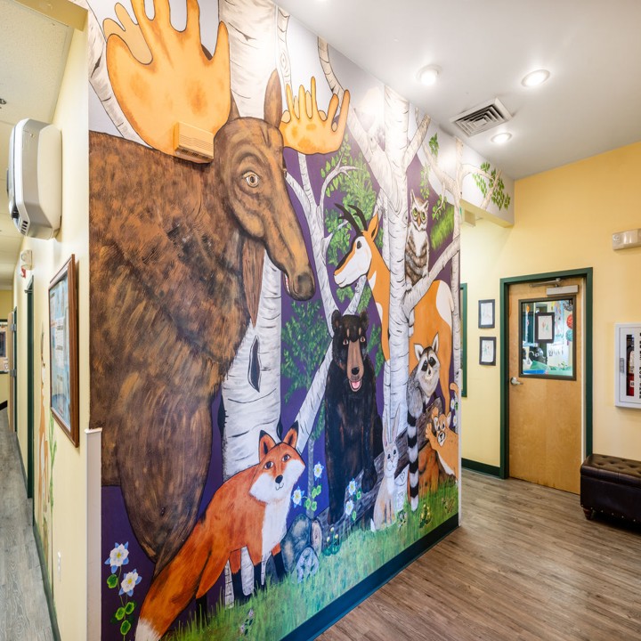 Images The Goddard School of Meridian