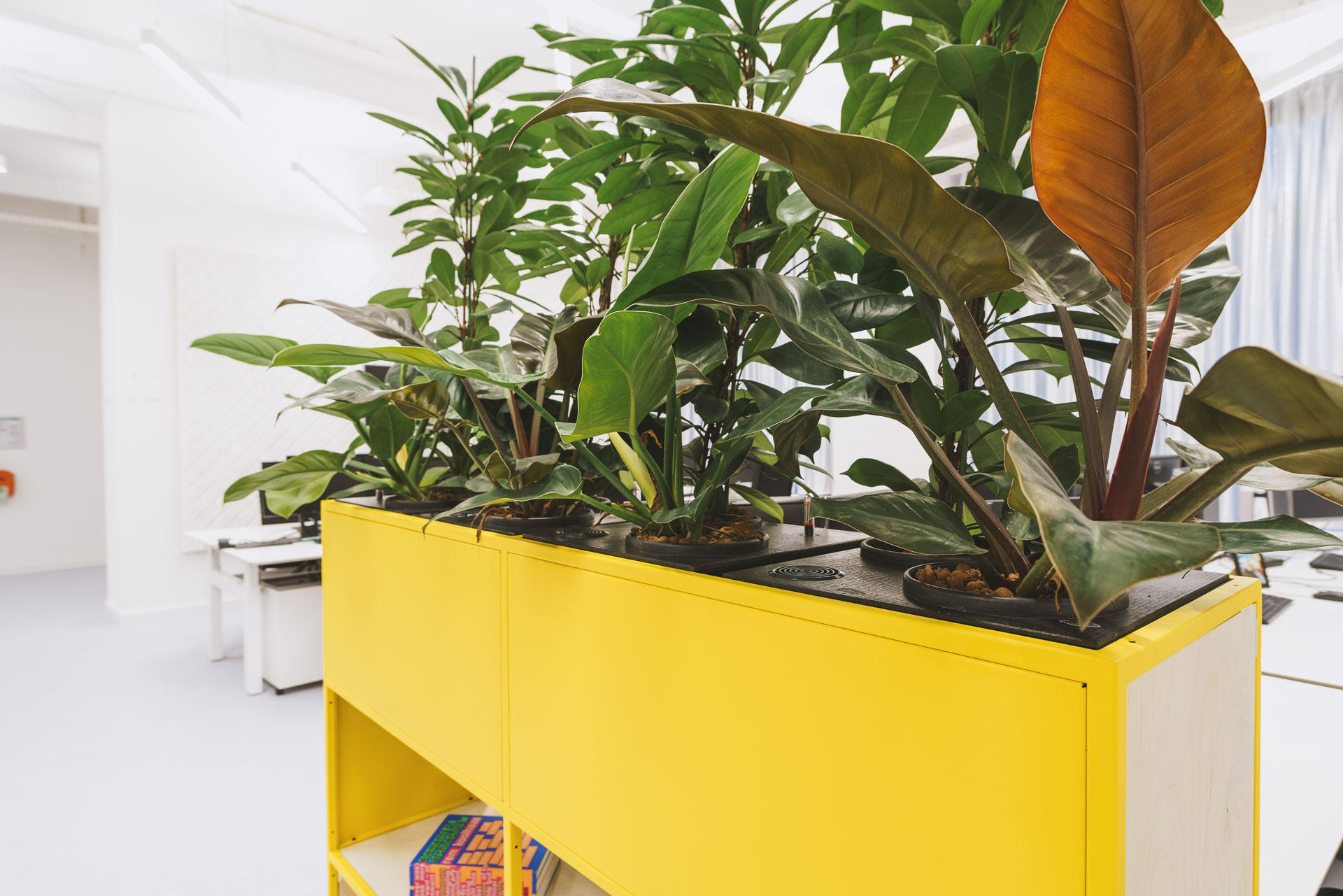 Florafilt Luftreiniger GmbH, Dorfstraße 99 in Bersteland