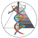 Images Cuoretti Alessandra Biologa Nutrizionista