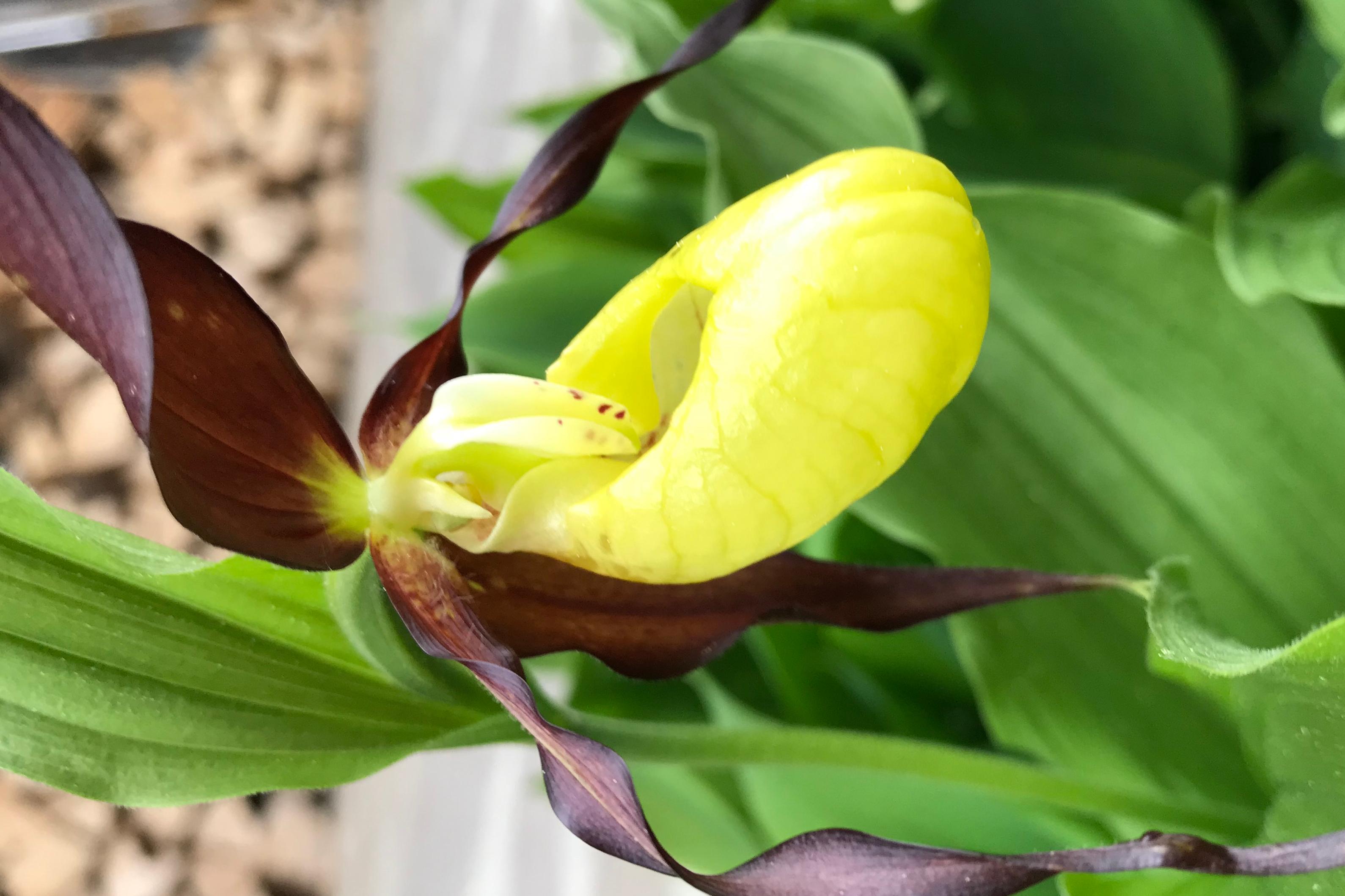 Images Agenzia CORI Immobiliare