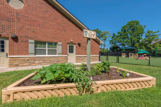 Images Primrose School of East Louisville