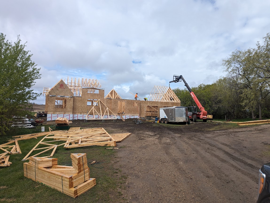 Images The Blue Spruce Builder