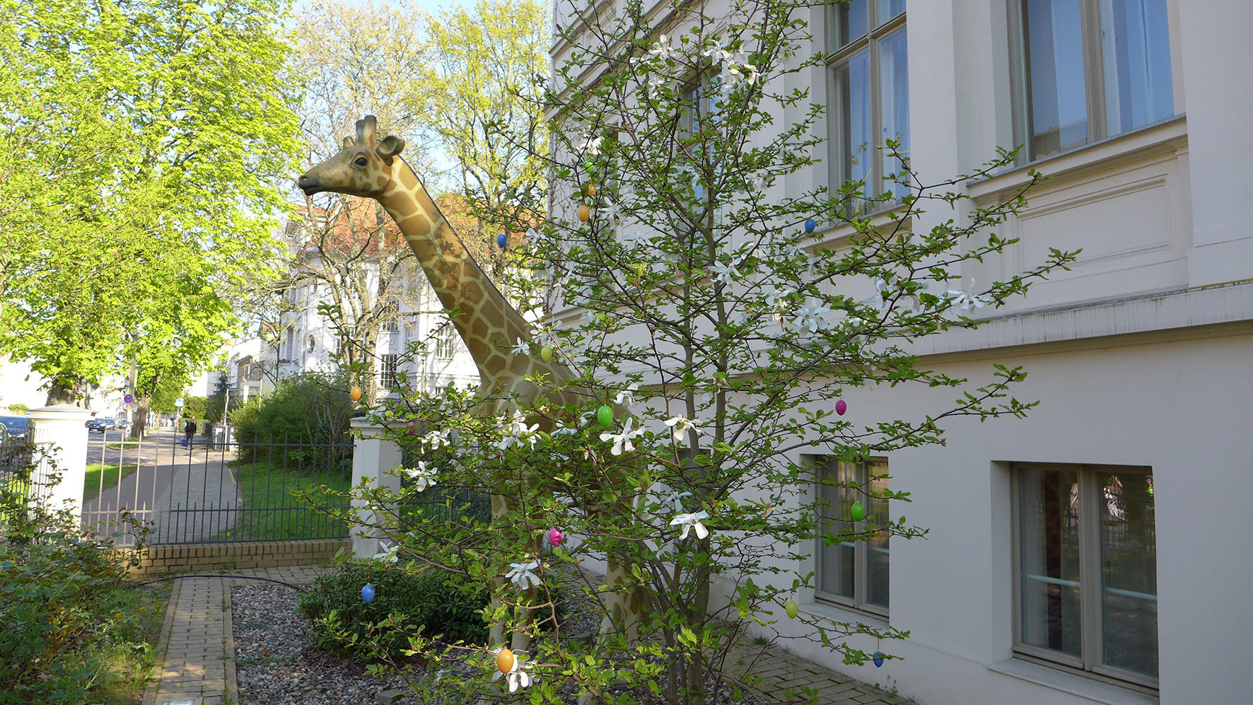 Die Besten Adressen Fur Zahnarzt In Potsdam Ihre Suche Ergab 119