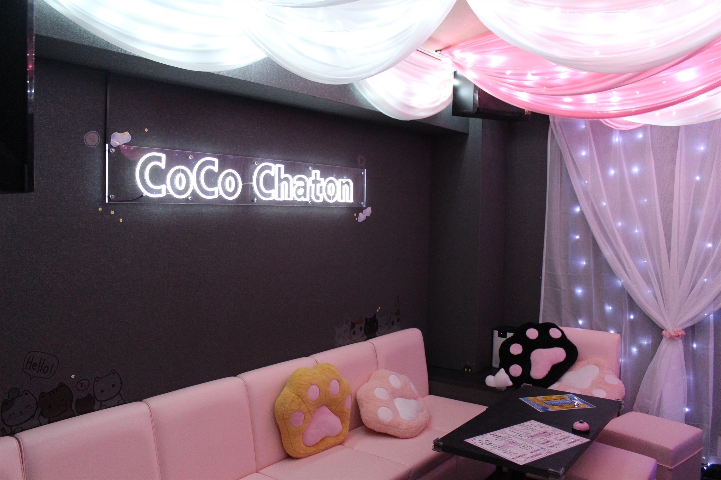 Images CoCo Chaton
