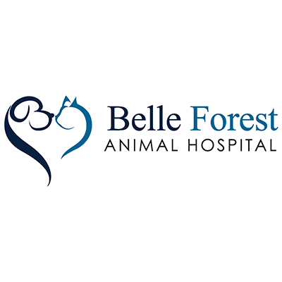 Belle Forest Animal Hospital