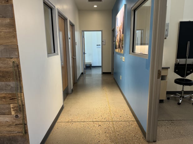 Images Vetco Total Care Animal Hospital