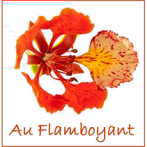 Au Flamboyant Logo