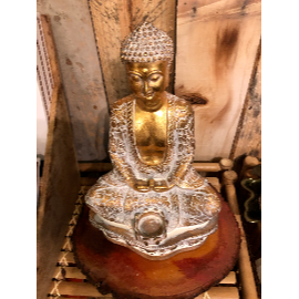 Ascension Mind Body Spirit Metaphysical Supply Store Logo