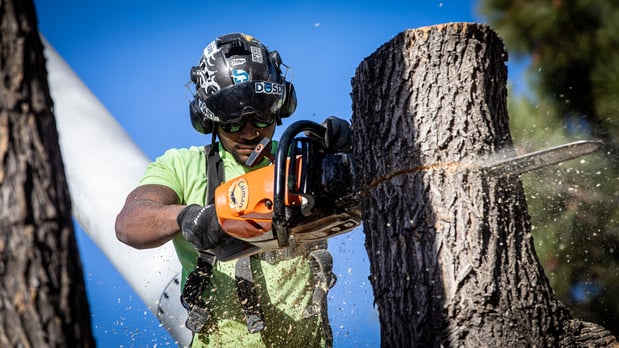 Images King Tree Service