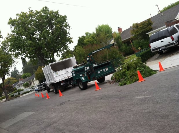 Images JC Tree Care & Landscape