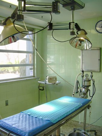 Images Foster Animal Hospital