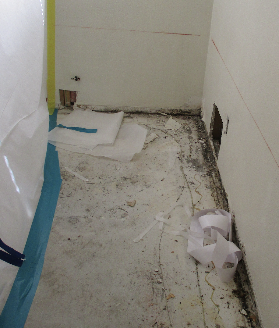Water damage can cause mold to grow. SERVPRO of Peoria/W. Glendale has the training and expertise to remediate any mold growth found in your home.