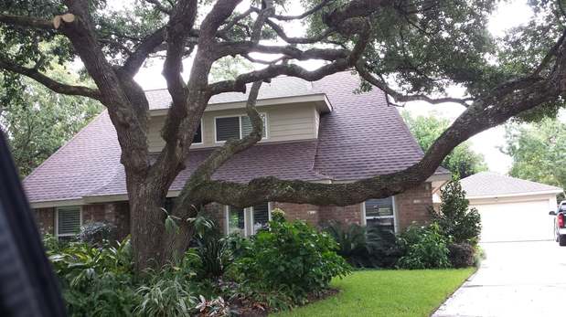 Images TNT Tree Service