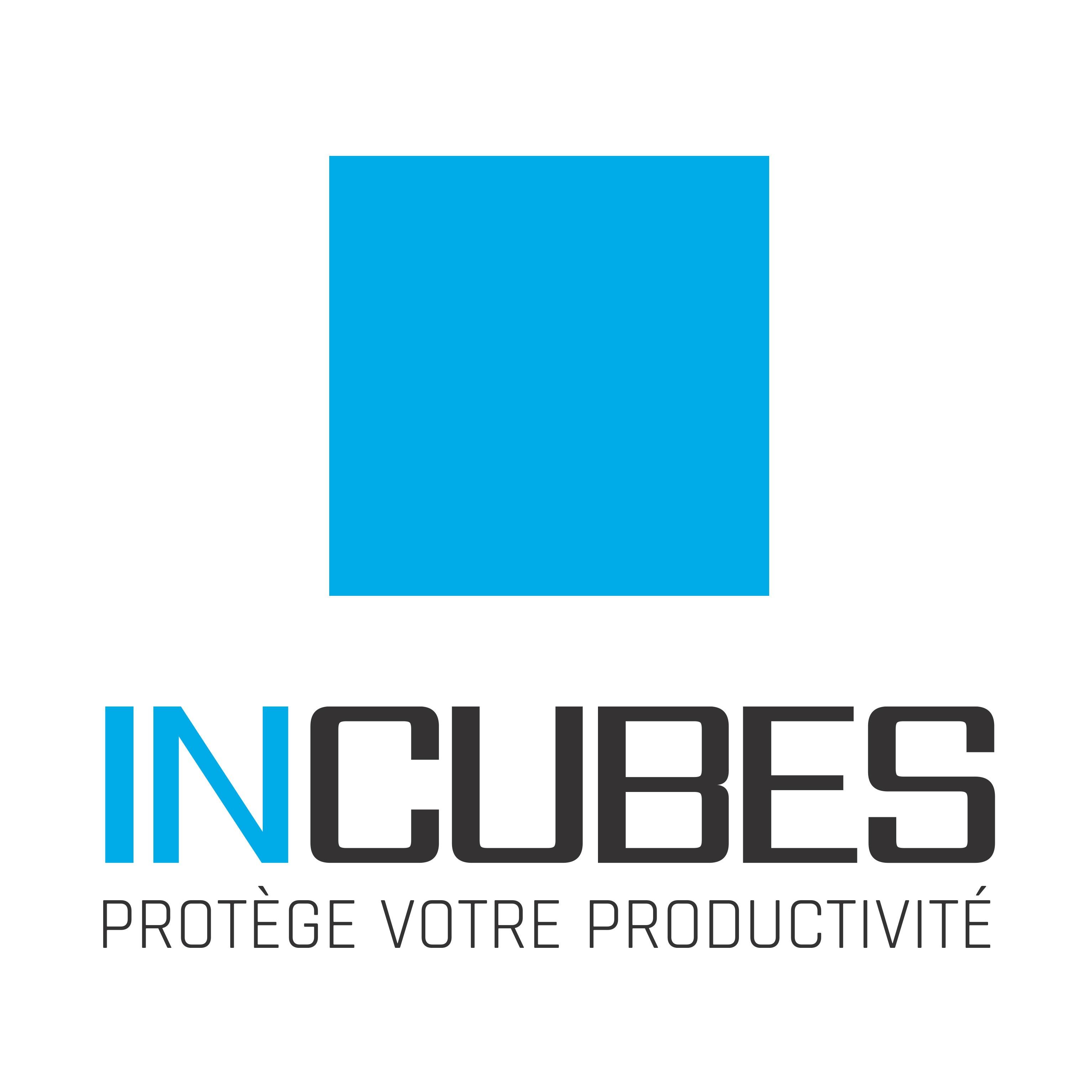 IN-Cubes Logo