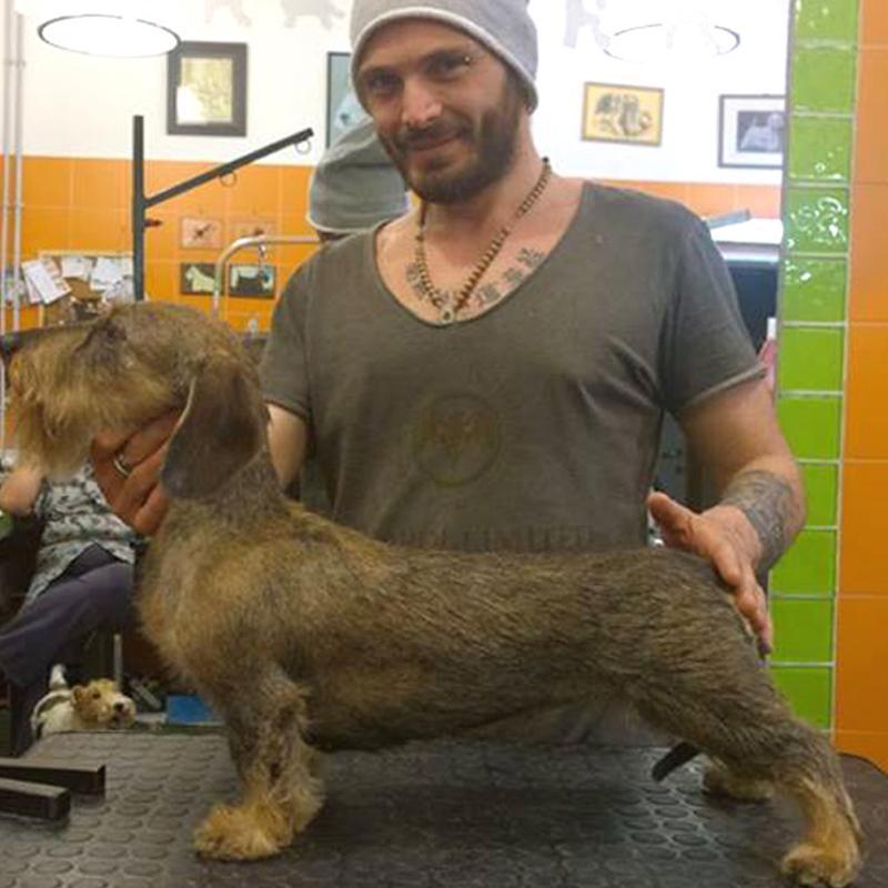 Images Toelettatura Salandra Francesco