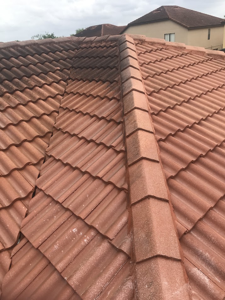 Professional tile roof cleaning in Davenport, FL, removing black streaks, algae, mold, and organic buildup.