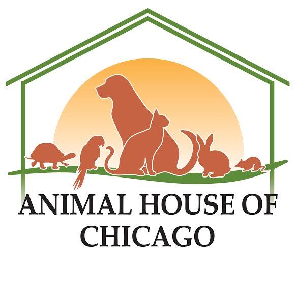 Animal House of Chicago