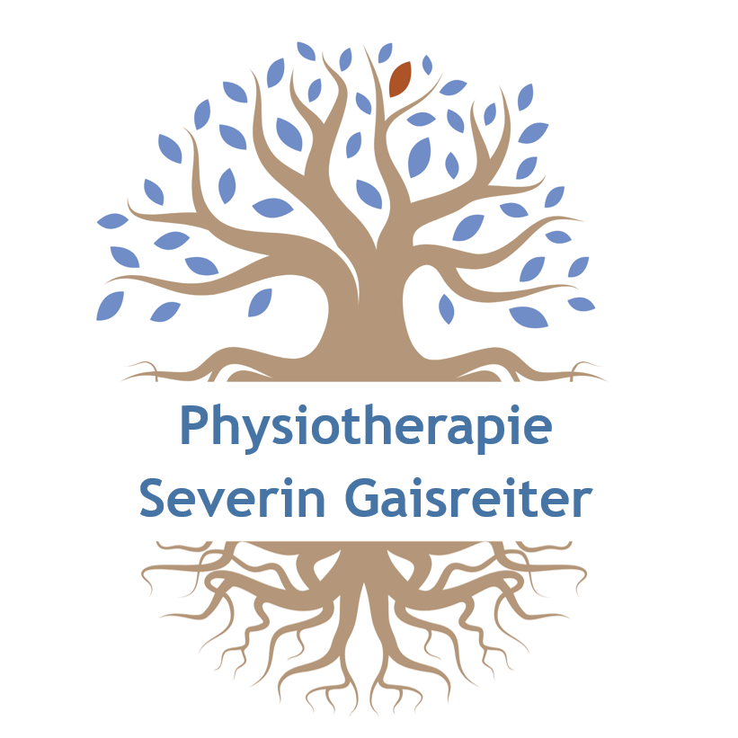 Physiotherapie Severin Gaisreiter in Traunstein - Logo